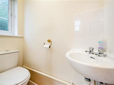 Picture 19